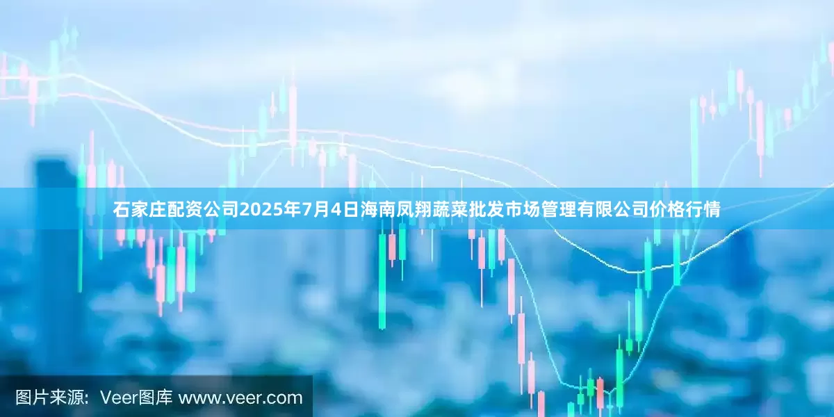 石家庄配资公司2025年7月4日海南凤翔蔬菜批发市场管理有限公司价格行情