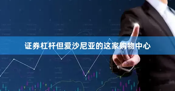 证券杠杆但爱沙尼亚的这家购物中心