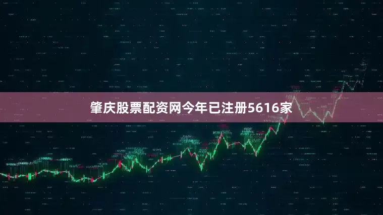 肇庆股票配资网今年已注册5616家