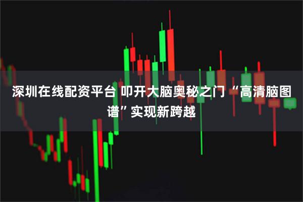 深圳在线配资平台 叩开大脑奥秘之门 “高清脑图谱”实现新跨越